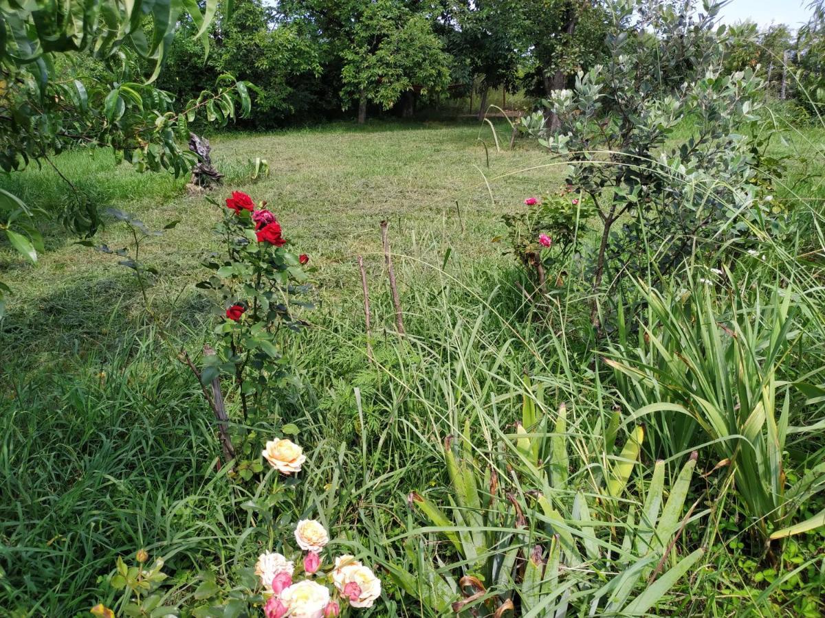 Country House Uliana Tskaltubo Buitenkant foto